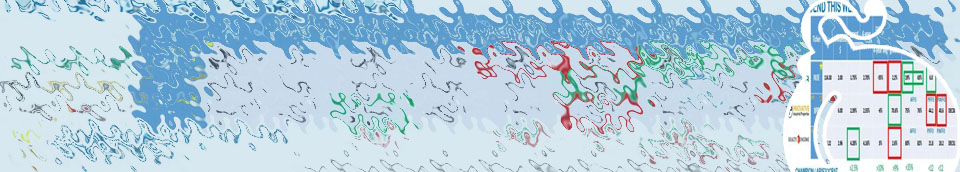 Gamexch567 latest dividend news